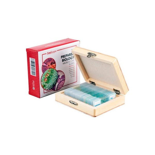AmScope PS25 25 pc. Glass Prepared Microscope Slides with Wooden Box